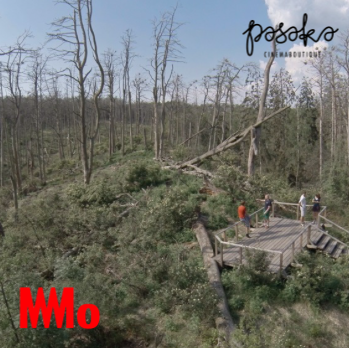 Rūgštus miškas | Filmas | MO muziejus