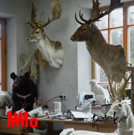 Animus Animalis | Kinas | MO muziejus